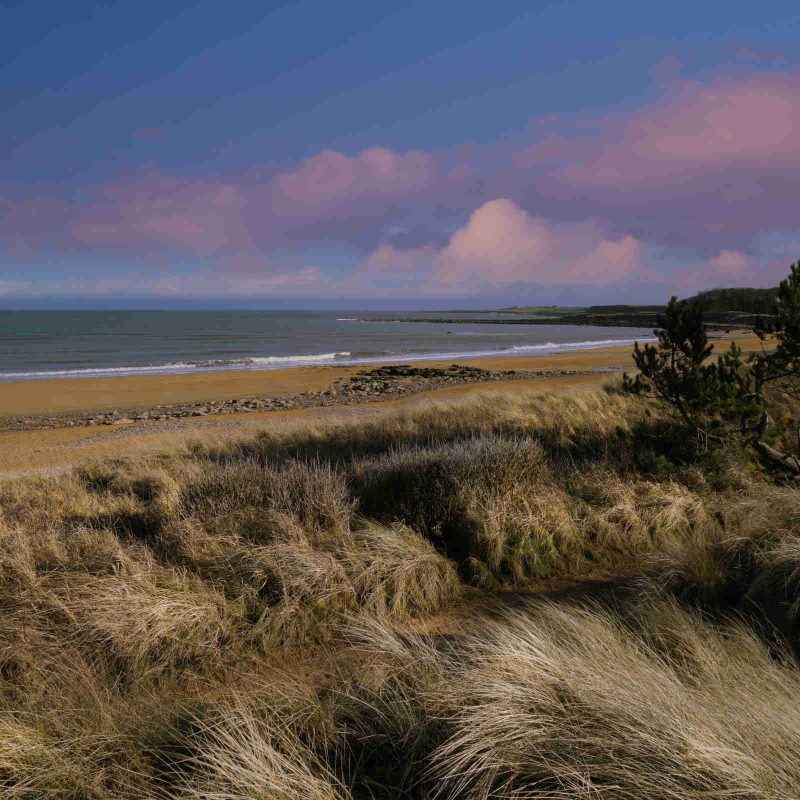 View of Kingsbarns Beach in Fife